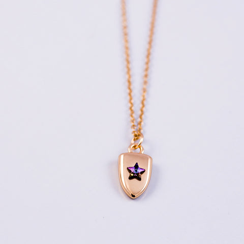 Gold & Purple Crystal Star Shield Necklace