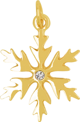 Snowflake Charm