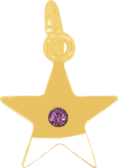 Crystal Star AMETHYST (February)